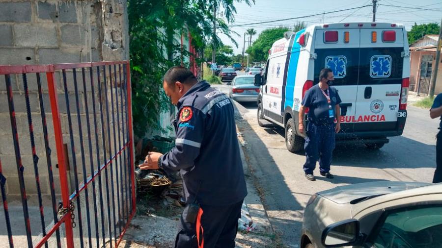 Perro ataca a su dueño en Nuevo Laredo
