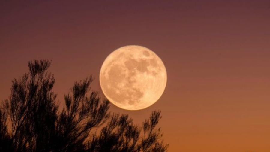 Científicos descubren sustancia gelatinosa en el lado oculto de la Luna