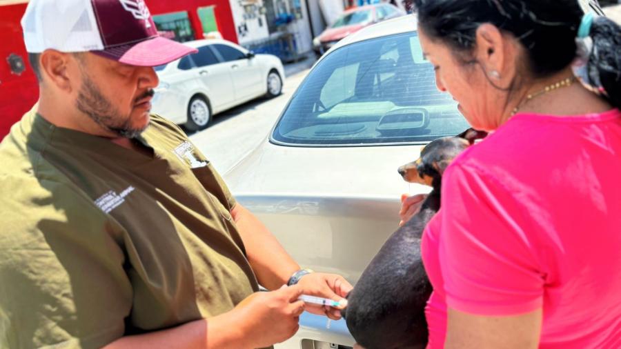 Atiende Gobierno de Reynosa a mascotas de zonas vulnerables
