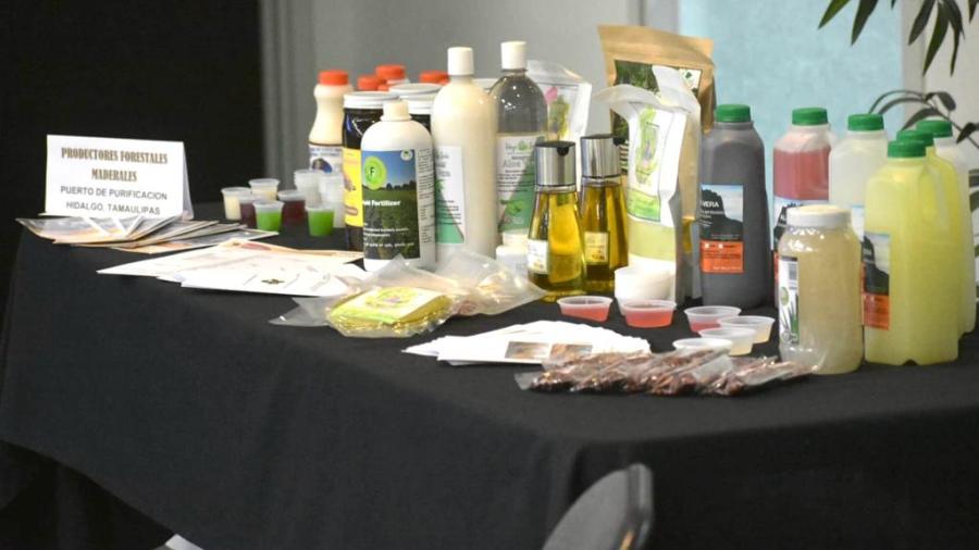 Agroproductores tamaulipecos a un paso de exportar a Estados Unidos