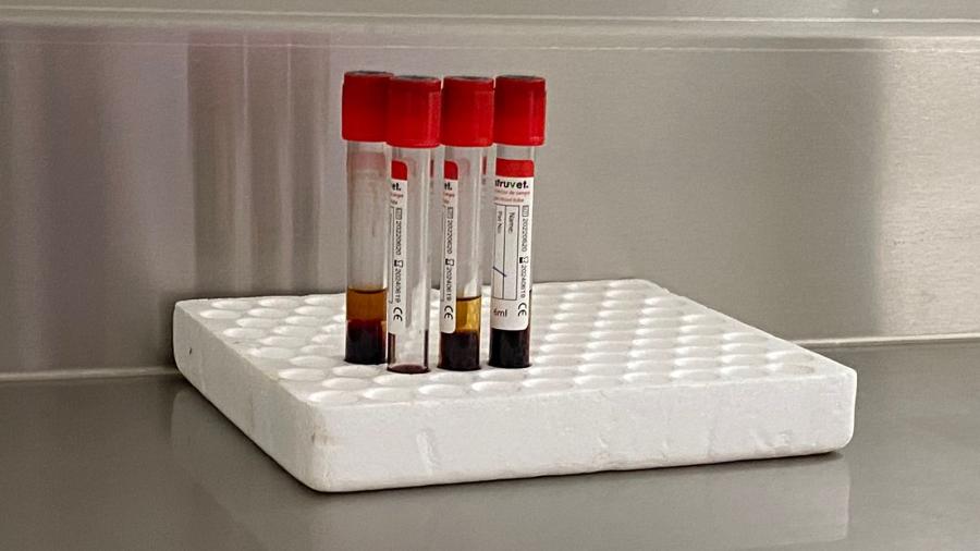 Buscan activar laboratorio ganadero