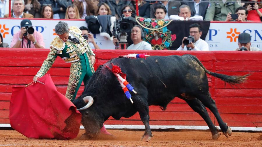 Jueza permite que continúen las corridas de toros en la Plaza México