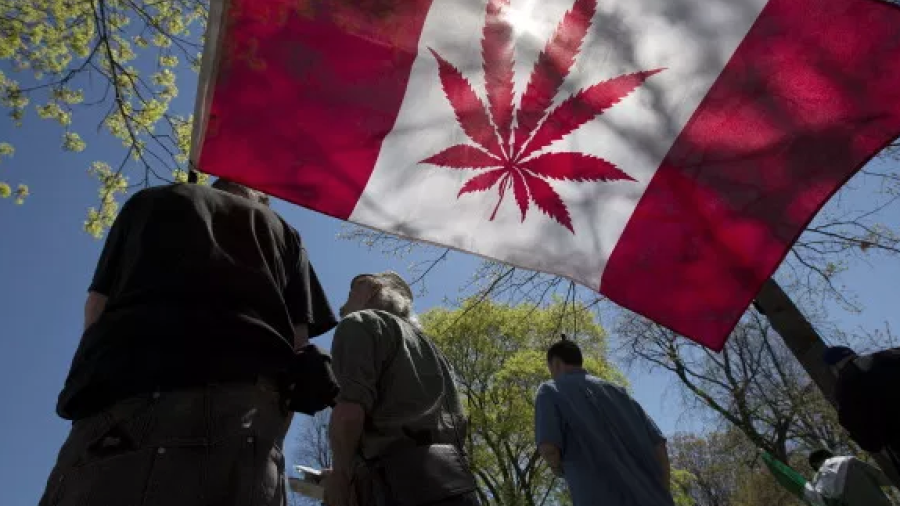 Canadá aprueba de manera oficial el uso de la marihuana
