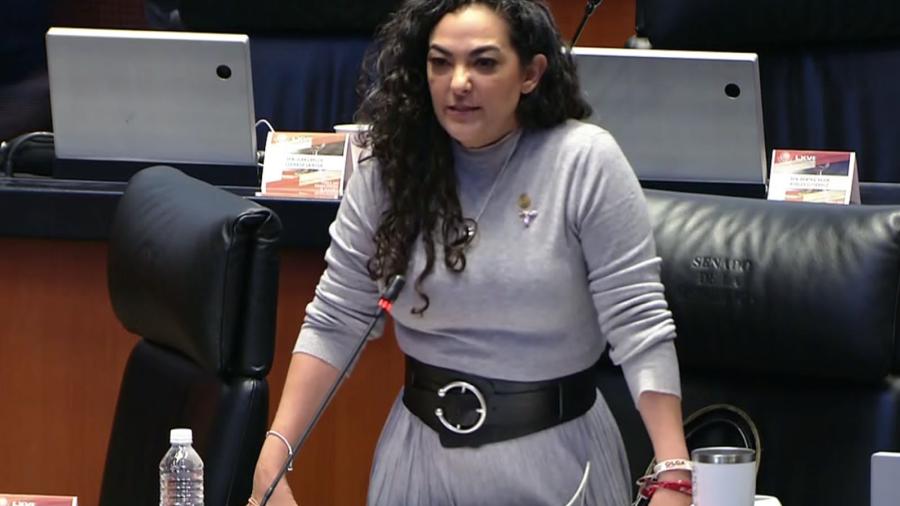 Reclaman en el Senado: No a la violencia contra mujeres