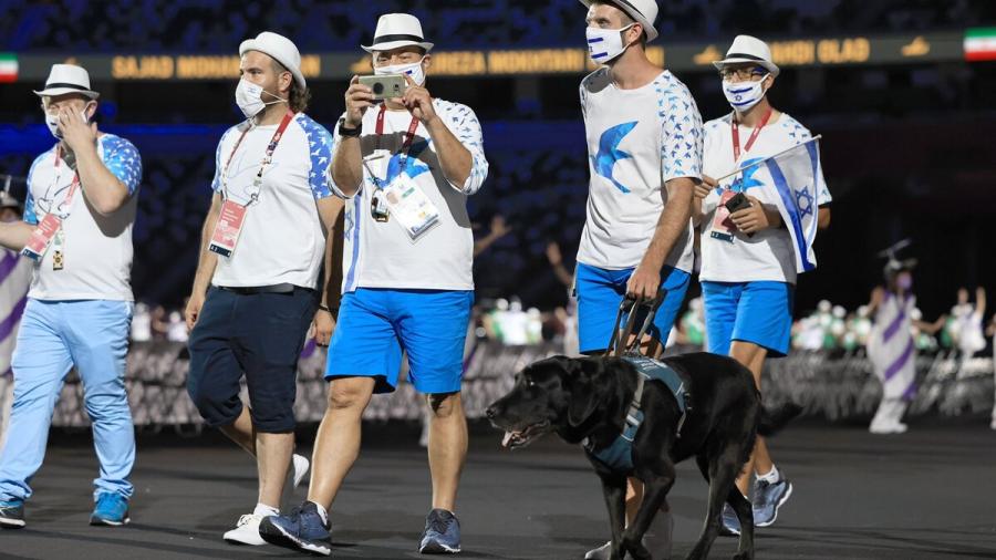 ¿Perros en los Juegos Paralímpicos? Te explicamos su importancia