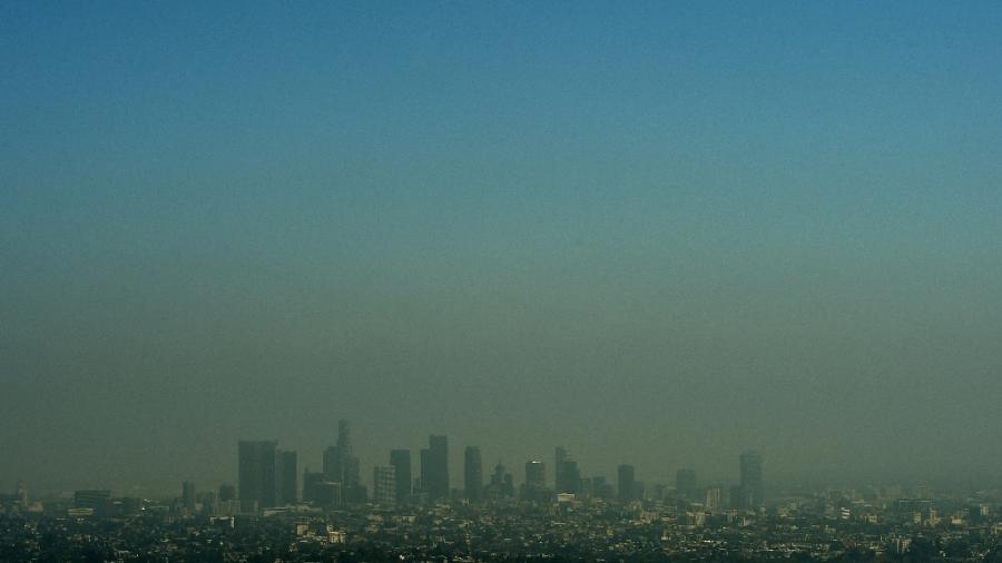 Más de 15 mil científicos pronostican extinción masiva 