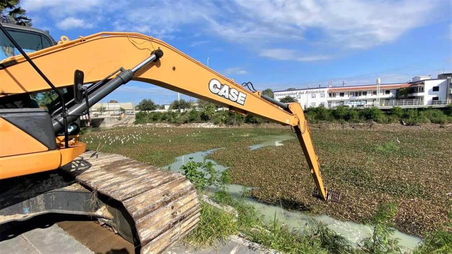 Inician retiro de lirio acuático del Canal Anzaldúas