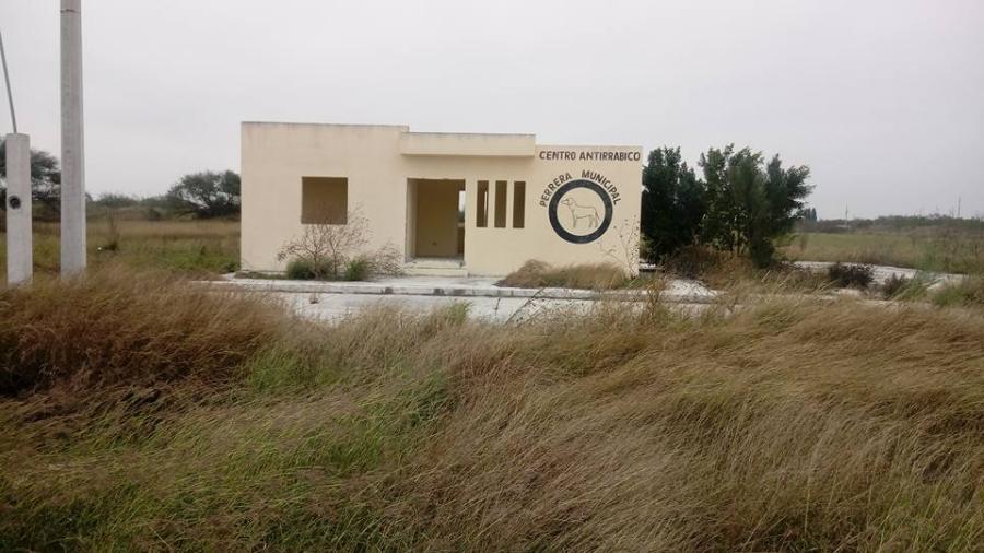 Continúa abandonada la perrera municipal