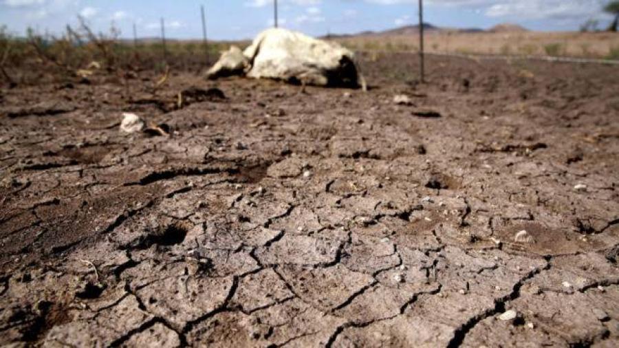 Alerta COMAPA de Reynosa por fase de sequía severa 