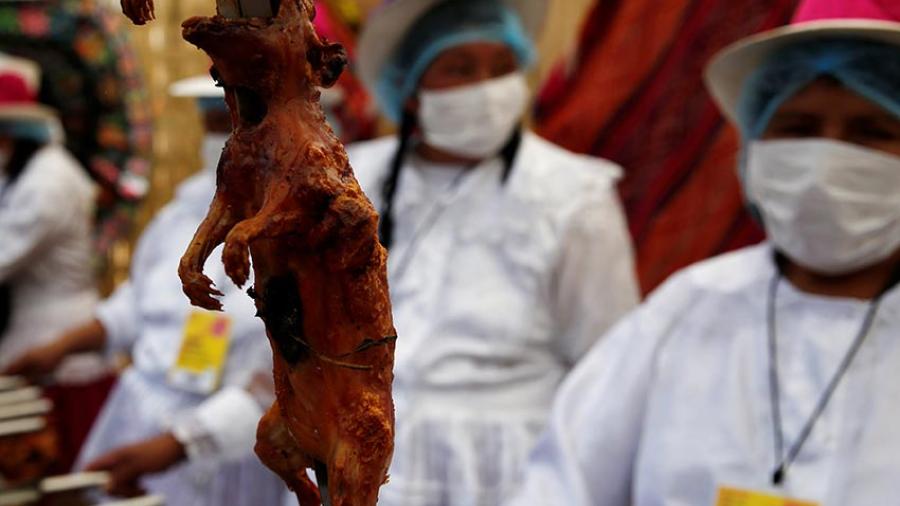 Festival de comida con roedores