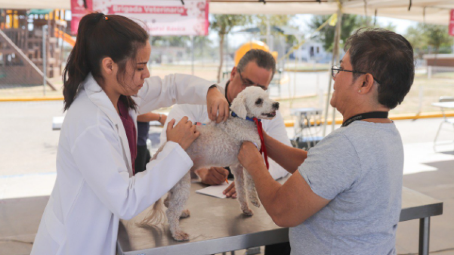 Lleva gobierno municipal brigada veterinaria a vecinos de la colonia Hidalgo