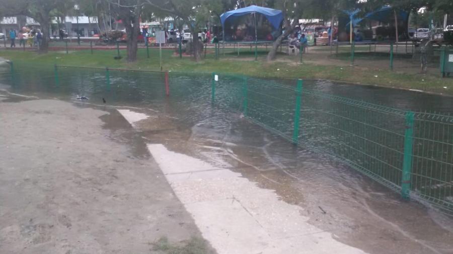 Laguna del Carpintero en Tampico comienza a desbordarse 