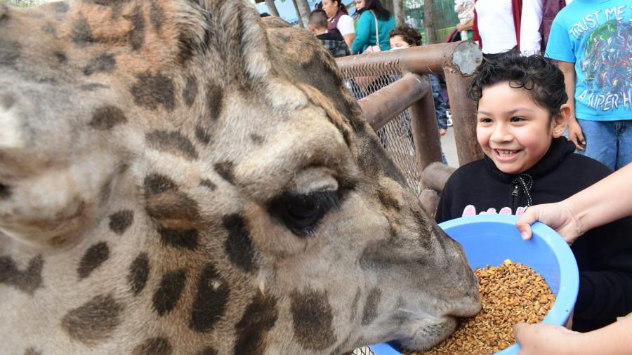 Conviven peque&ntilde;os en el Zool&oacute;gico con "H&eacute;roes Haciendo Comunidad" 