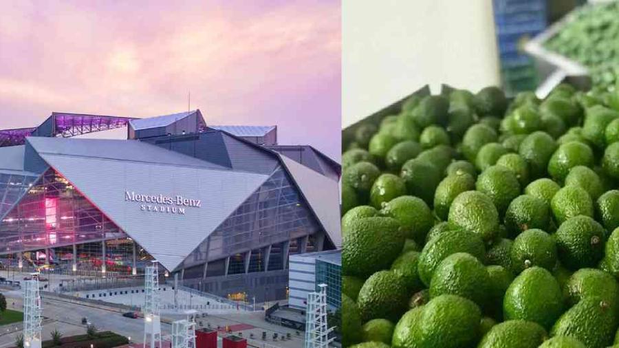 Venta de aguacate a EU rompe récord