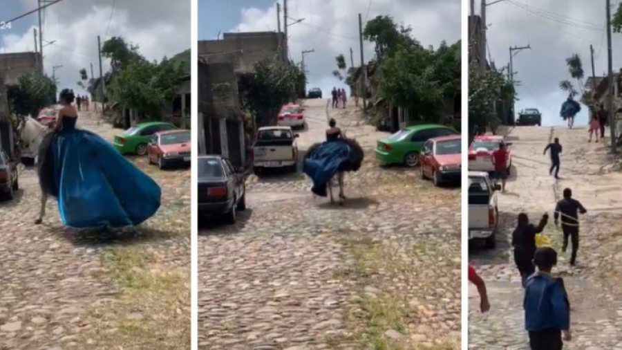 ¡Y se marchó! Caballo "rapta" a quinceañera y huye a toda velocidad 