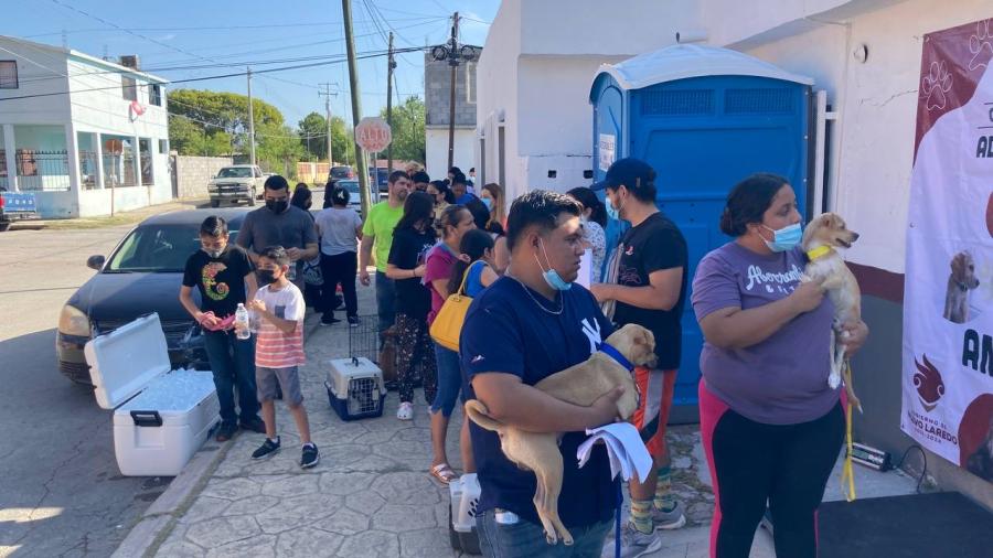 Realizará Gobierno Municipal onceava campaña de esterilización felina y canina