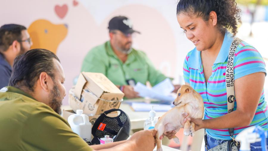 Mascotas sanas en Reynosa con programa veterinario del Alcalde Carlos Peña Ortiz