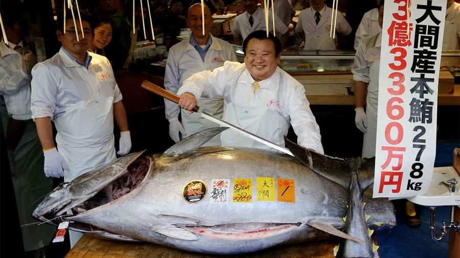 ¡Sorprendente! Rey del sushi en Japón compra un atún de 278 kilos