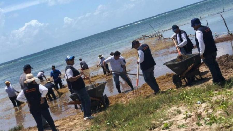 Se han retirado 33 mil metros cúbicos de sargazo en 41 playas de QRoo