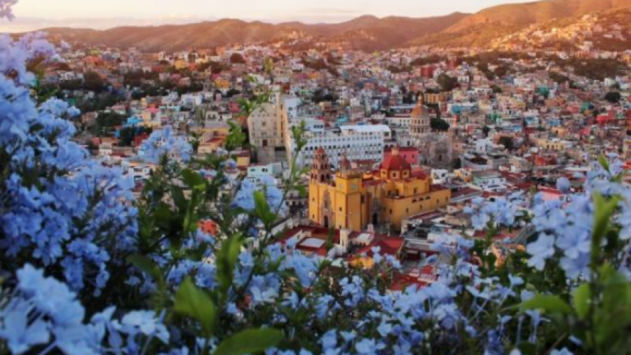 Iniciar&aacute; distribuci&oacute;n "Visa" de turistas en Guanajuato