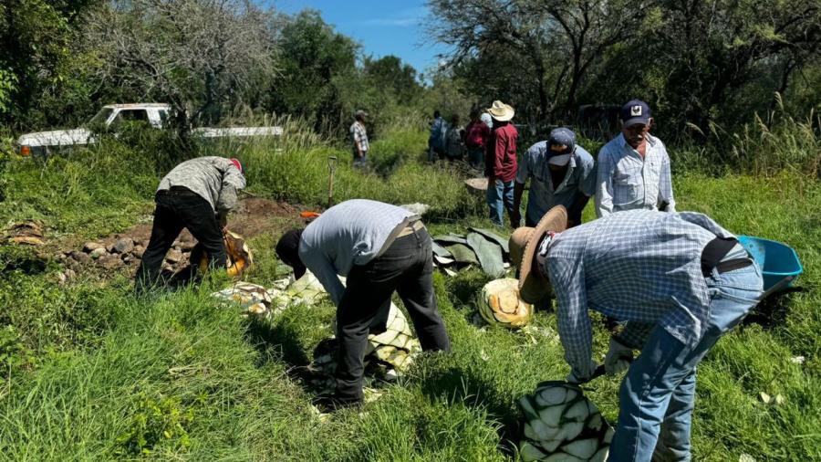 Impulsan extensionismo forestal en apoyo a productores tamaulipecos
