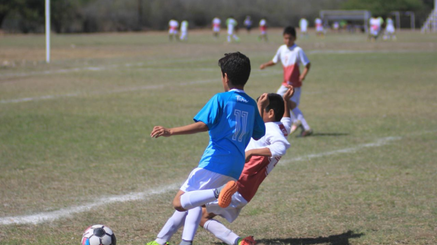 Semifinales infantil mayor en Copa Tam