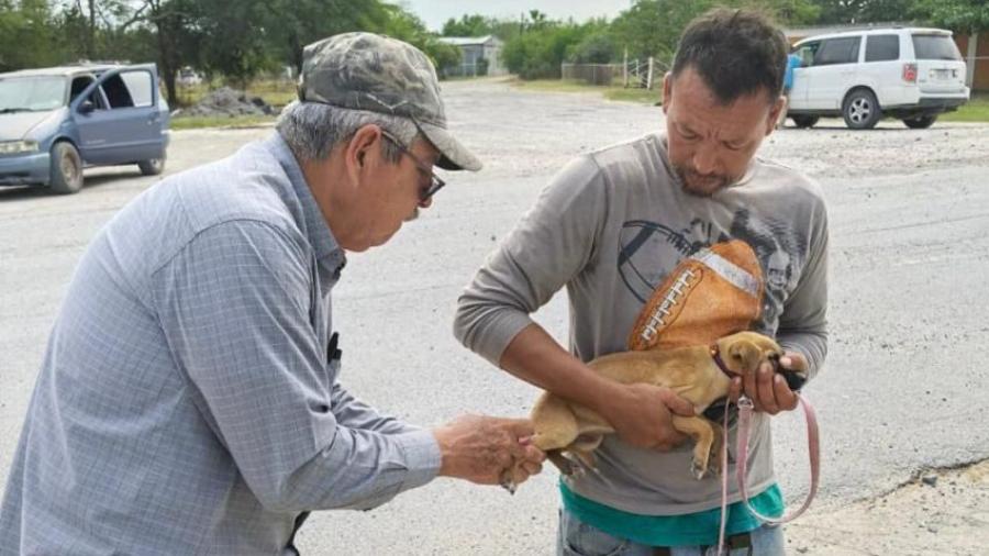 Realiza SST campaña preventiva para la detección de rickettsiosis