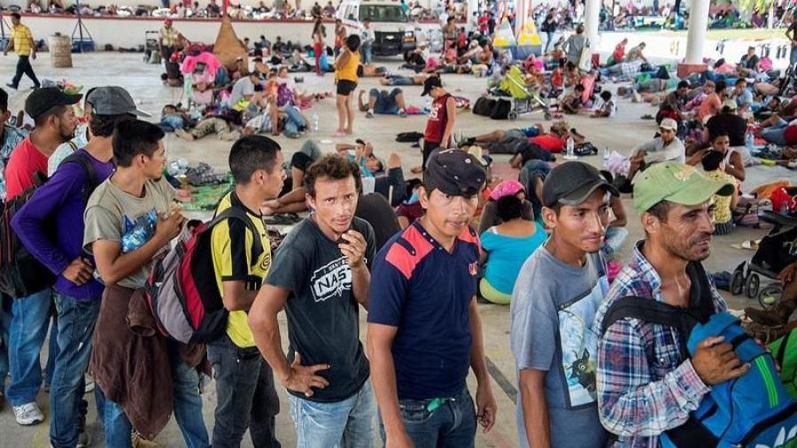 Otorgan 614 visas humanitarias a migrantes