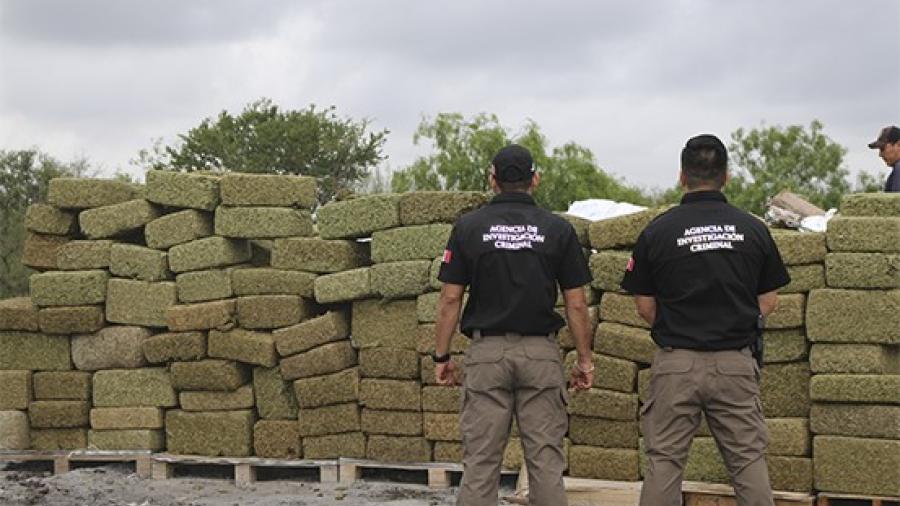 Incineran toneladas de marihuana y destruyen cocaína