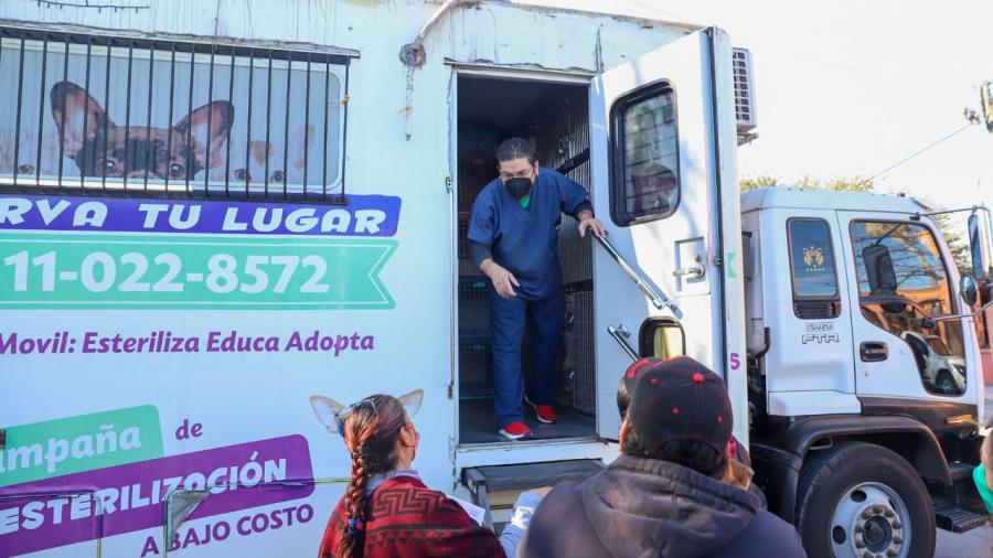 Arranca Jornada de Esterilizaci&oacute;n felina y canina 