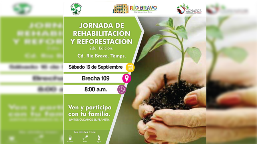 Realizarán jornada de reforestación