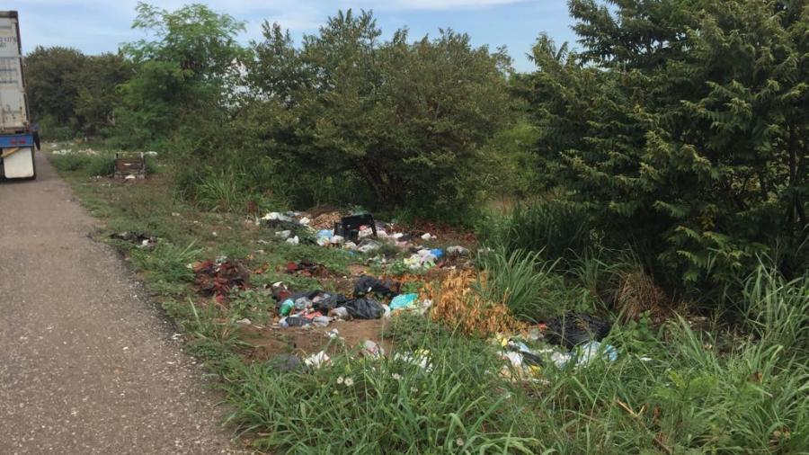 Desechos urbanos en canales pluviales amenazan el patrimonio de cientos de familias