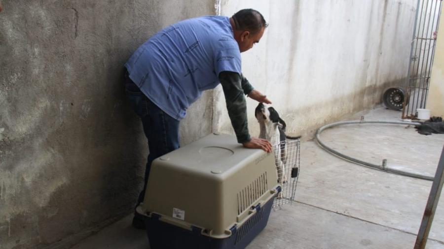 Denuncia Ayuntamiento maltrato animal, ante Fiscal&iacute;a