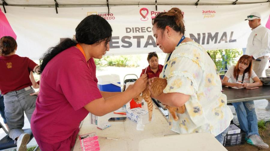 Consulta médica, vacunas para tus mascotas y trámites gratis en tu colonia con Presidencia Cerquita de Ti