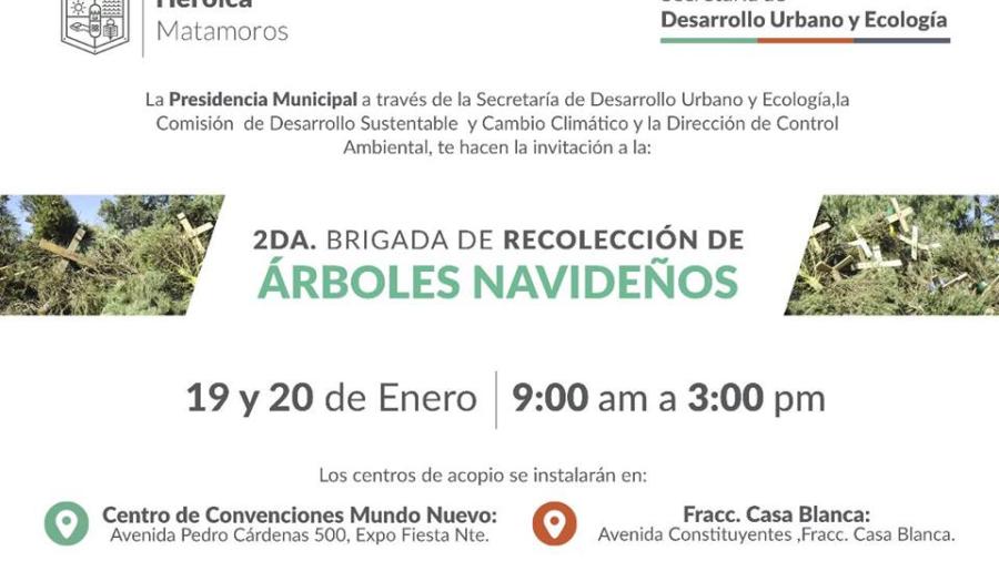 Invitan a 2da brigada de recolecci&oacute;n de &Aacute;rboles Navide&ntilde;os