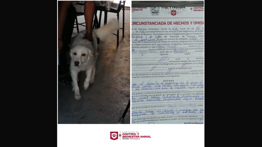 Exhorta Alcalde de Reynosa a dueños cuidar de sus mascotas 