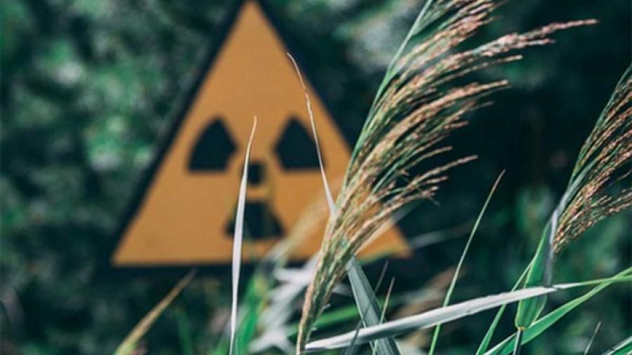 Radiactividad al norte de Europa no representa riesgo: ONU