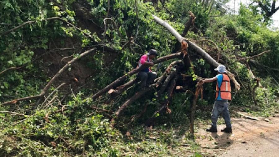 Restablecen comunicaci&oacute;n en ocho poblados incomunicados por Max