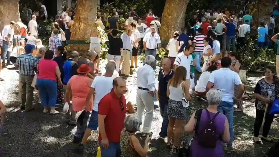 Reportan 13 muertos y 50 heridos tras caída de árbol en Madeira