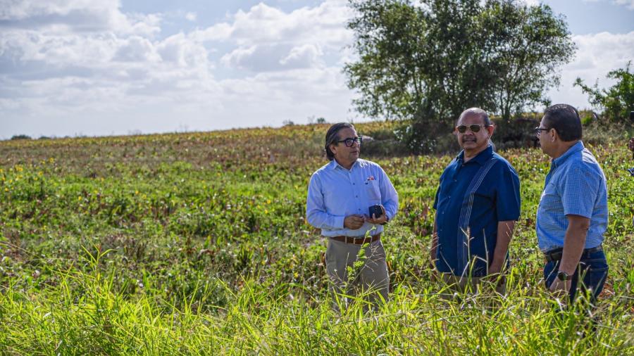Quinto puente internacional estará ubicado por Ejido el Juanillo