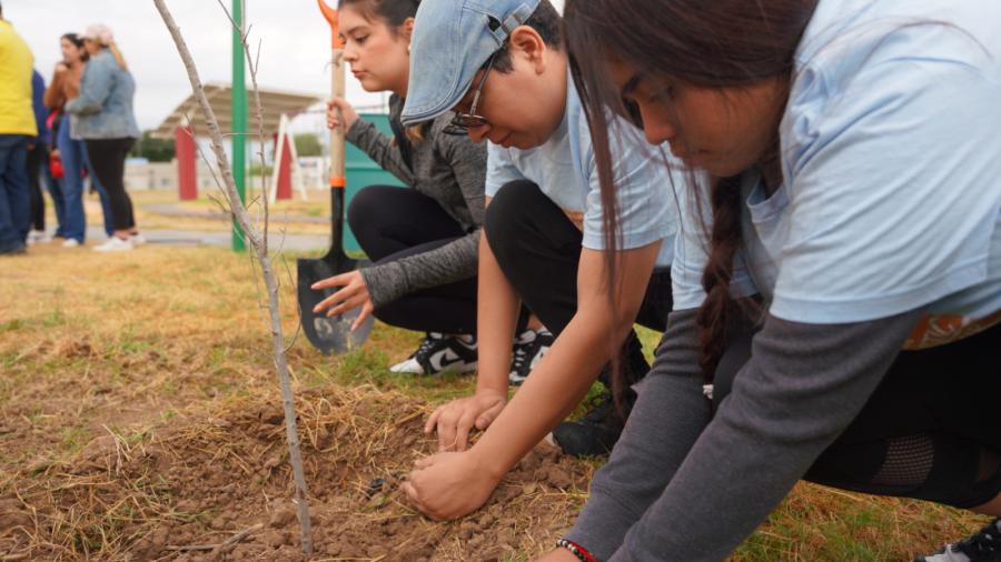 Plantarán más de 3 mil árboles en Nuevo Laredo;inicia gobierno municipal jornada de reforestación masiva