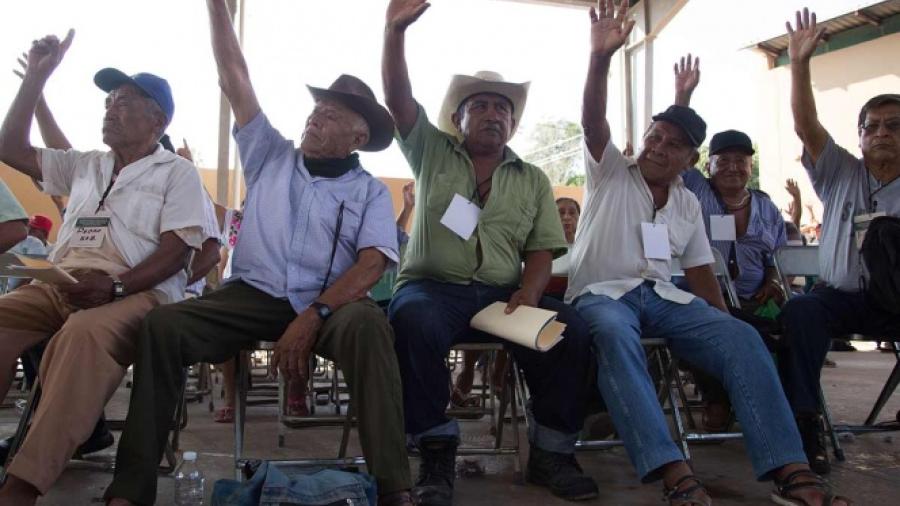 Se lleva a cabo consulta sobre Tren Maya en Tabasco, Campeche y QRoo