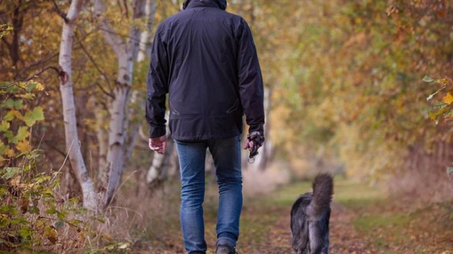 PETA ofrece 10 mil dólares por encontrar a quien enterró vivo a un perro 