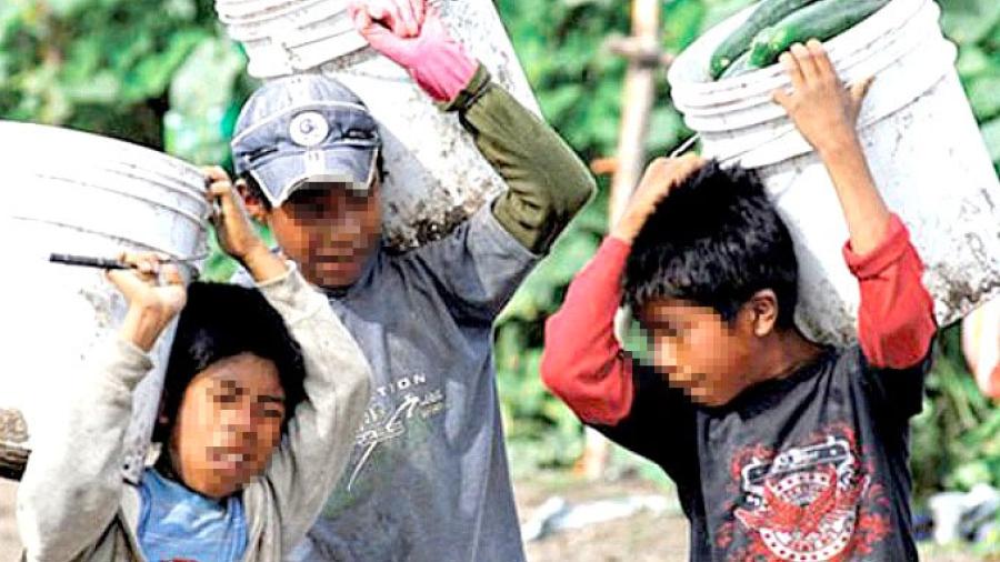 Trabajan y estudian 50 niños en Altamira