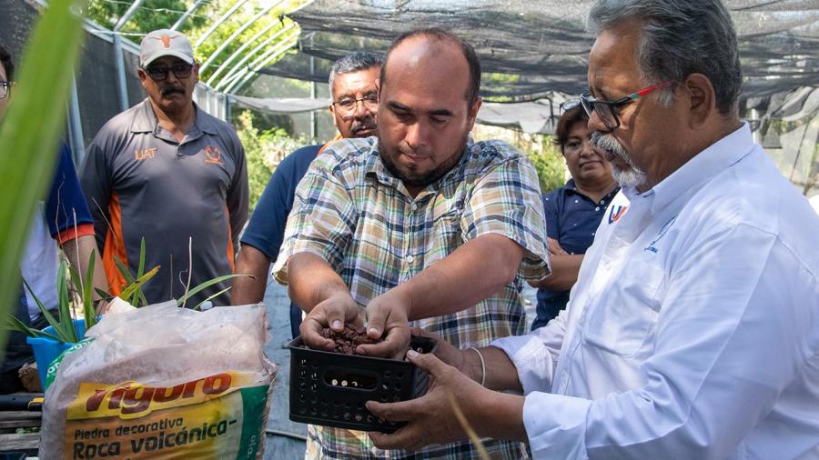 Promueve UAT el cultivo y conservación de orquídeas