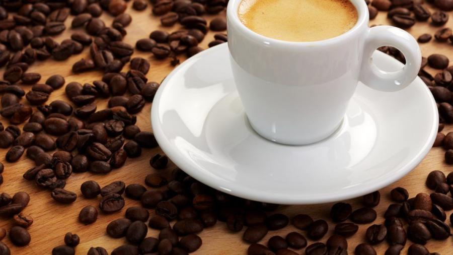 Buscan creación de órgano para café Hecho en México