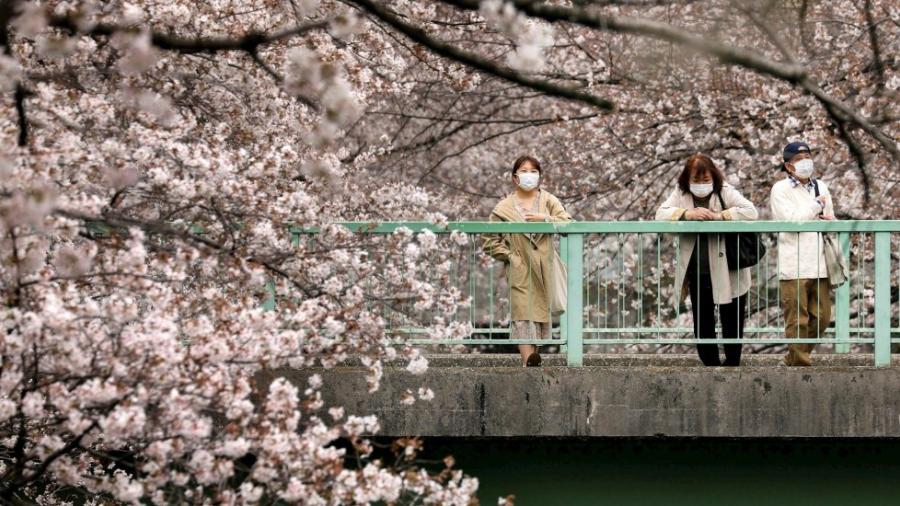 Japón podría pagar gastos de turistas para ayudar a la reactivación de economía