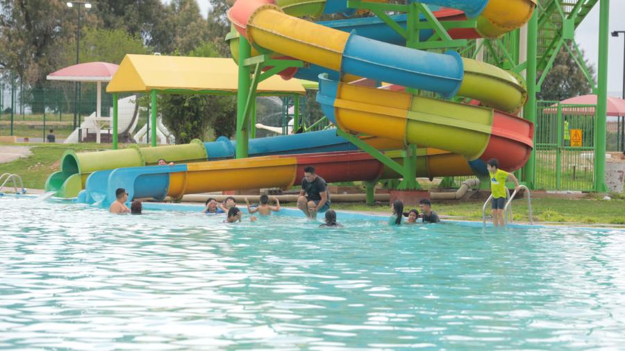 Zoológico, acuario y alberca gratis este sábado en el Festival del Día del Niño en Parque Viveros