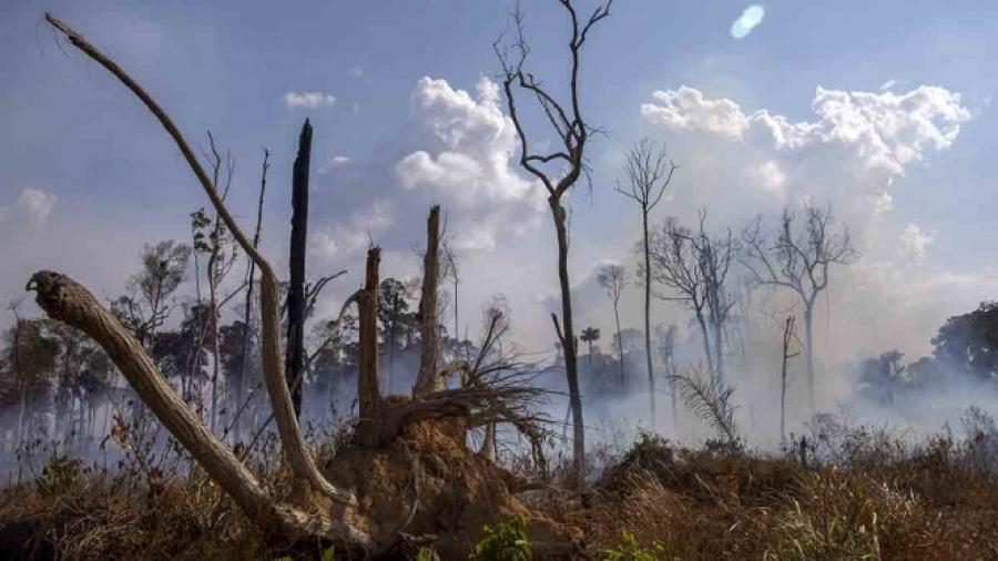 Chile continúa colaborando para combatir incendios en el Amazonas