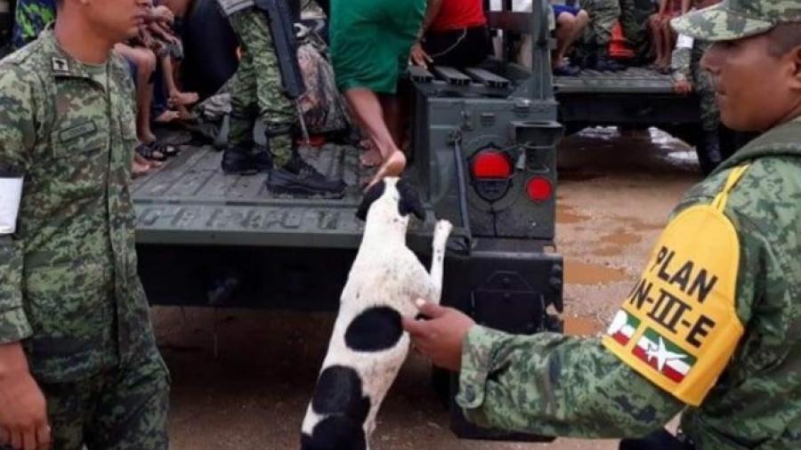 Activan Plan DN-III-E en Veracruz